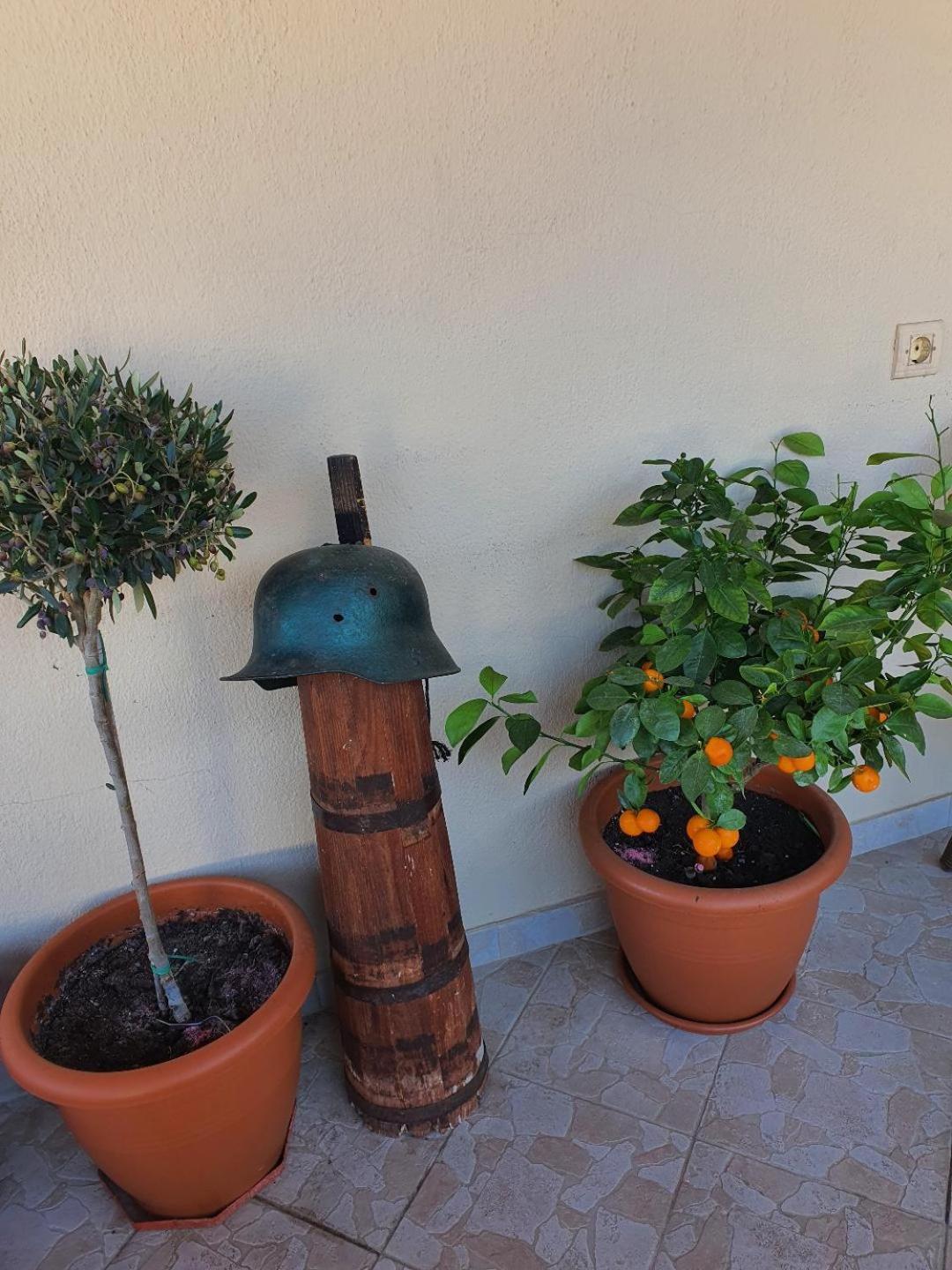 Alexandros Guesthouse Órma 外观 照片